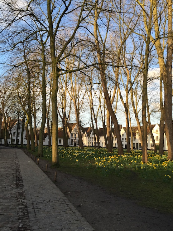 ブリュージュ  ベギン会