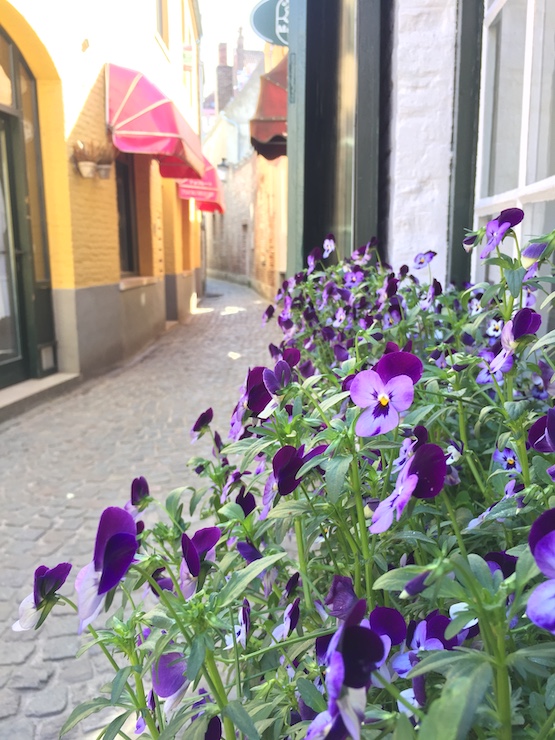 ブリュージュ  小径　街歩き